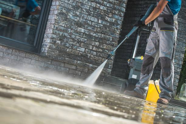 Animal Enclosure Cleaning in Wimauma, FL